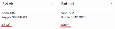 eSIM対応のiPad AirとiPad miniの表示
